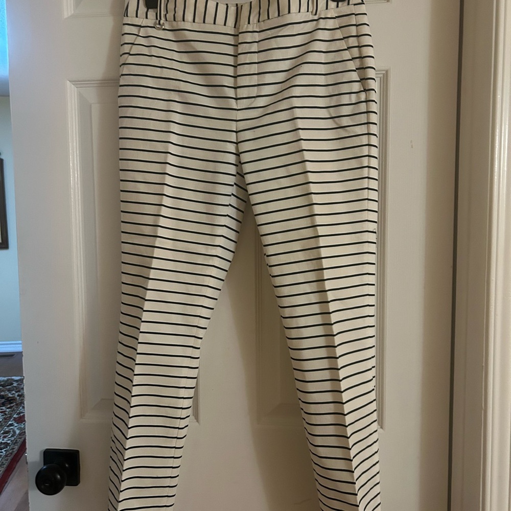 Zara Basic Collection Navy and White Striped Pants